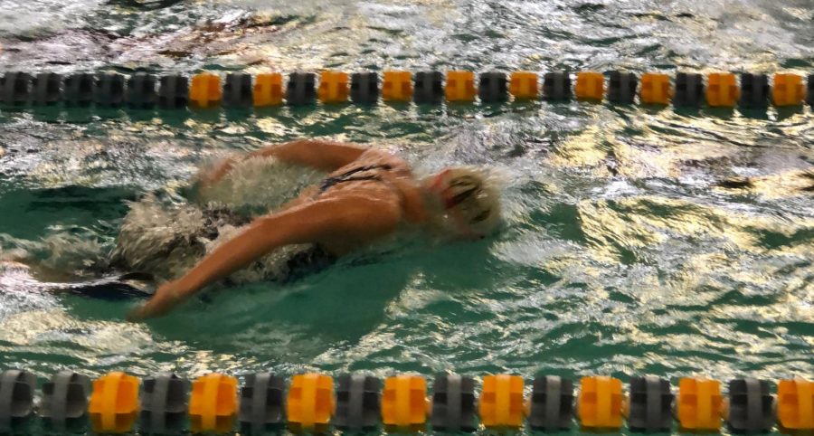 Swimmer+represents+North+at+Sectional+competition