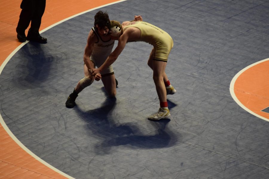 Three wrestlers compete at State
