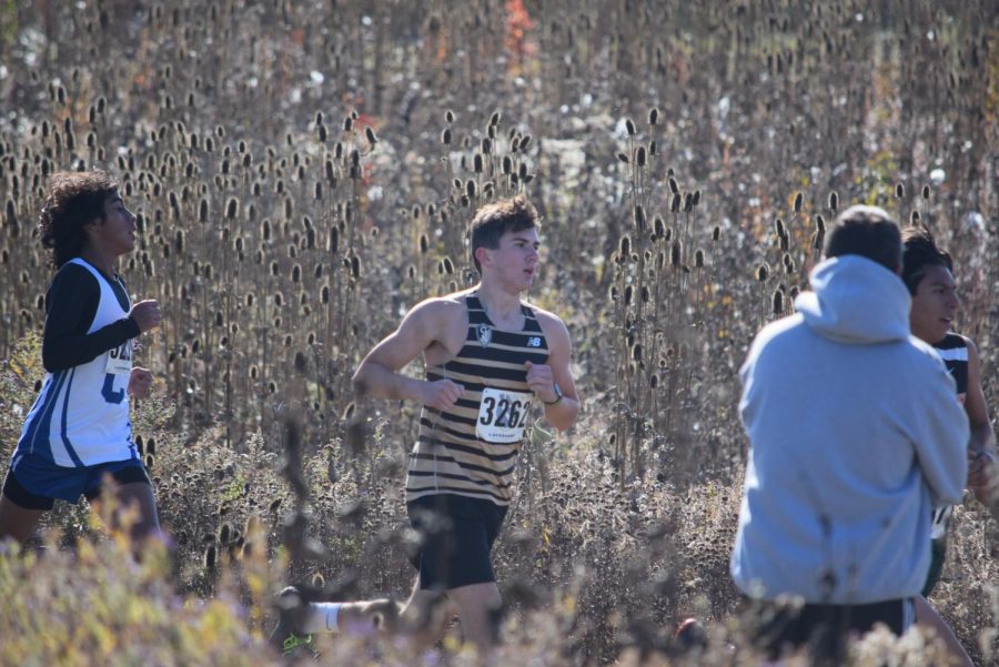 Diaz shines bright as cross country finishes Sectional on a high note
