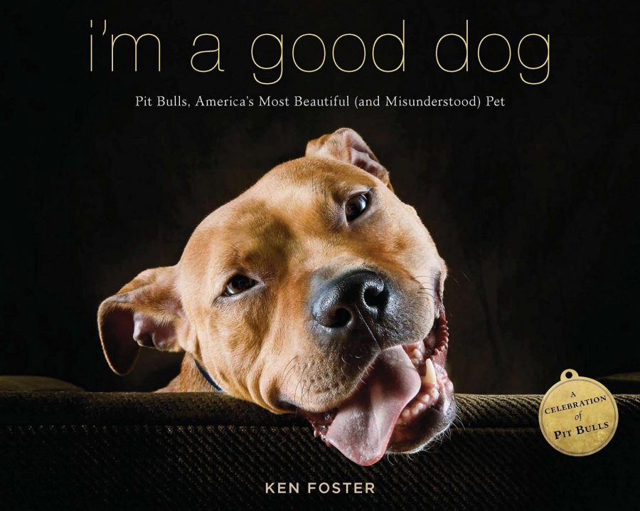 I’m a good dog: Pit bulls, America’s Most Beautiful (and misunderstood) Pet book cover
www.penguinrandomhouse.com