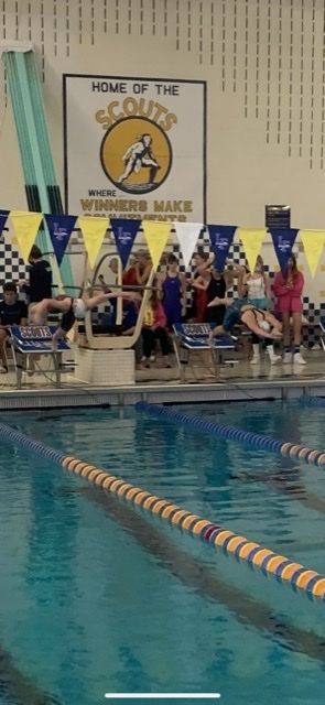 Three North swimmers compete at Sectionals.
