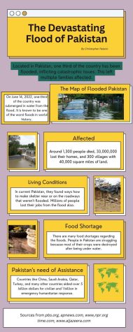 Pakistan flooding displaces millions